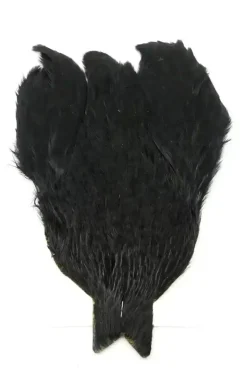 4 B's Hen Cape