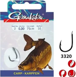 3320 F Carp