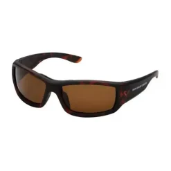 2 Polarized Sunglasses