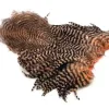 American Hen SH/C Grizzly dyed Salmon
