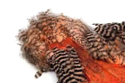 American Hen SH/C Grizzly dyed Salmon
