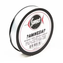 Amnesia - Clear