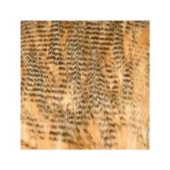 Bar Craft Fur