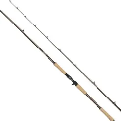 Beast Pro Casting Rod