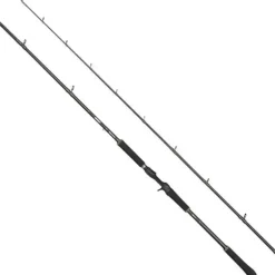 Beast X Extreme Casting - 2,49 m - 100/280 gram