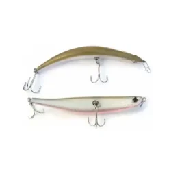 Bent Minnow