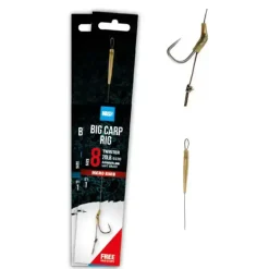 Big Carp Rig