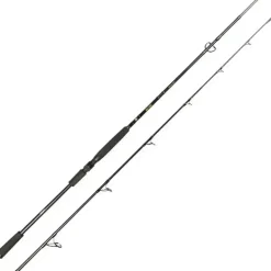 Big Lure Spin Rod