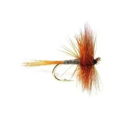 Blue Winged Olive