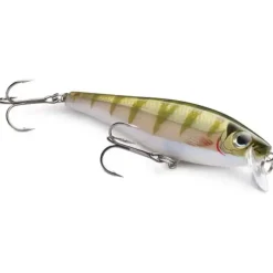 BX Minnow