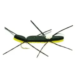 Chernobyl Ant