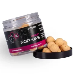 Citruz Pop Ups