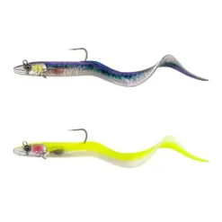 Conger Eel