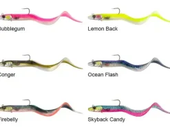 Conger Eel