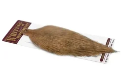 Coq de Leon Rooster Cape