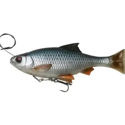 4D Line Thru Pulse Tail Roach