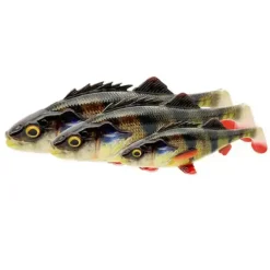4D Perch Shad