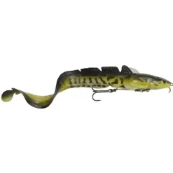 3D Shallow Burbot