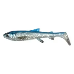 3D Whitefish Shad