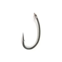 Edges Arma Point Curve Shank