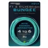 F1 & Silverfish Bungee