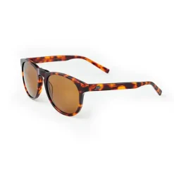 Hawkbill Dark Tortoise