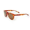 Hawkbill Light Tortoise