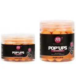 High Visual Pop-ups - Scopex & Blackcurrant