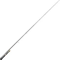 Injection Fast Finess M
