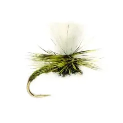 Klink Light Olive