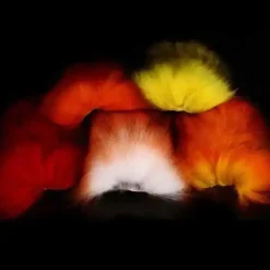 Marabou Fox