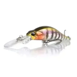 Realis Rozante Shad 57MR