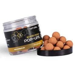 Scopex Squid Pop-Ups