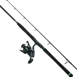 Silure Belly Combo - 1,70 m - 100/250 gram
