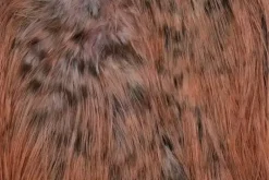 Spey Hackle Rooster Saddle Bronze Grizzly dyed Salmon