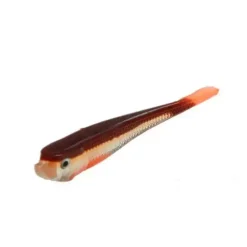 Urban Sense Micro Tail