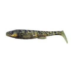 U-Shad