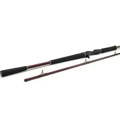 W6 Powercast-T