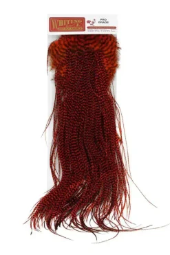 Whiting Rooster Saddle