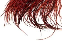 Whiting Rooster Saddle
