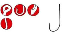 Worm 36