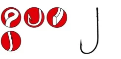 Worm 31